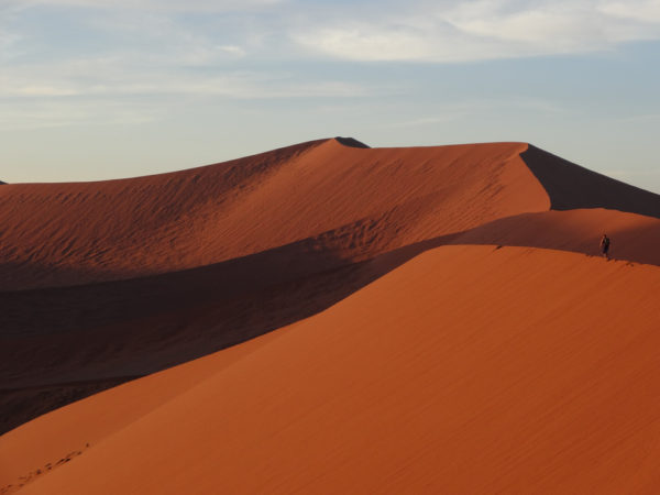 Namib Desert